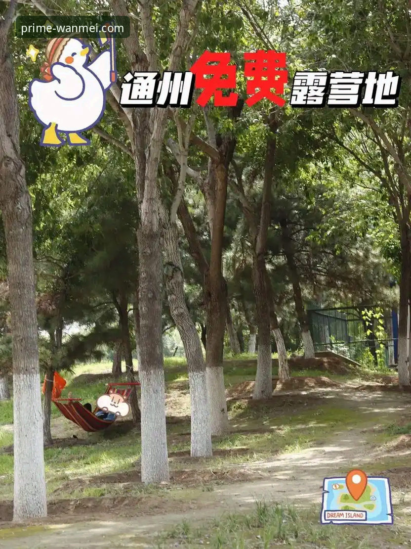 完美体育足球资讯官方下载 完美体育足球资讯官方下载最新动态:v3.5.2版本实测体验与操作指南